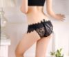 Floral Lace Panty with Butterfly Applique