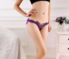 Floral Lace Panty with Butterfly Applique