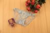 Sheer Lace Panties with Butterflies